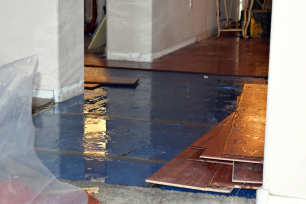 Professional Water Damage Restoration technician working in Marshall, MI