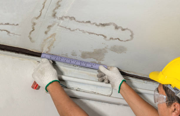 Reliable Water Damage Restoration contractor in Marshall, MI by Local Water Damage Repair